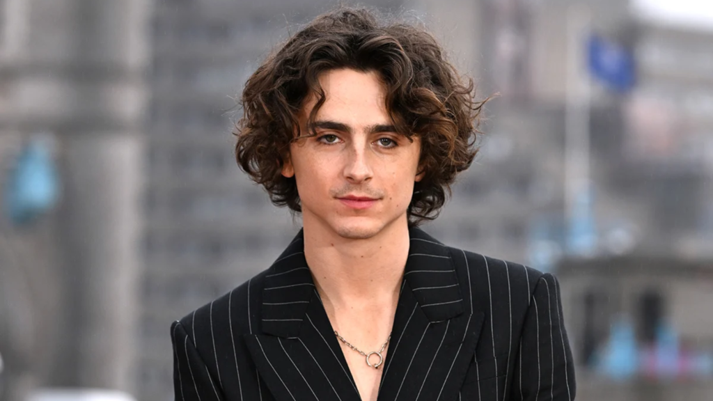 Timothée Chalamet Sexuality